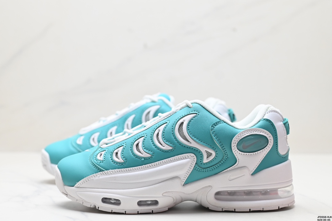 Nike Air Max Shoes